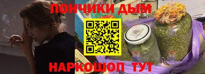 мдпв Кингисепп