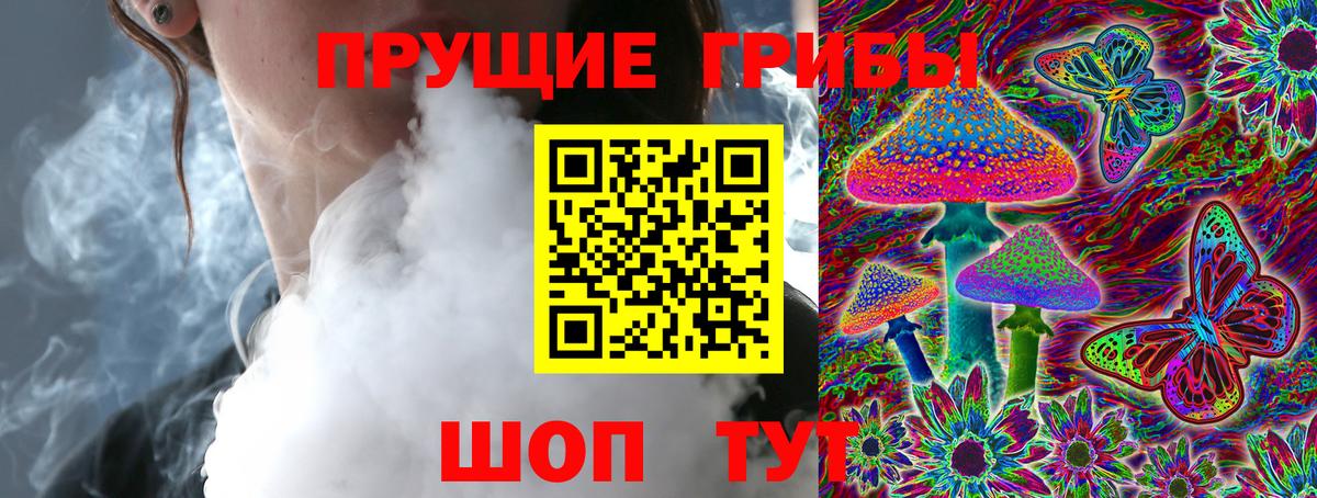 Менделеевск  Галлюциногенные грибы Cubensis  Вход с VPN 
