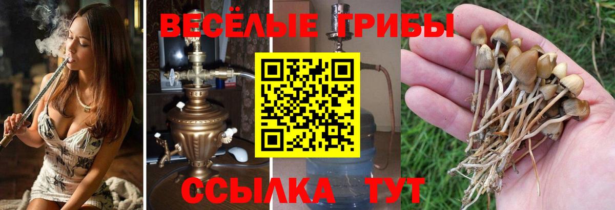 ГАШИШ Менделеевск
